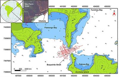 High-Resolution Sub-Bottom and Magnetometer Data From Southeastern Brazilian Coast